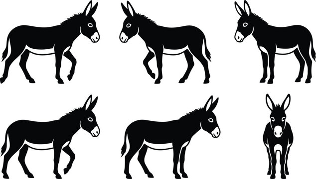 Black Donkey Silhouette Bundle with Standing and Walking Poses Isolated Vector Set
