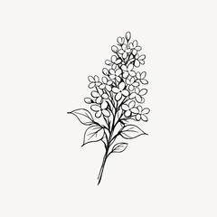 Fototapeta premium Minimalist floral line art