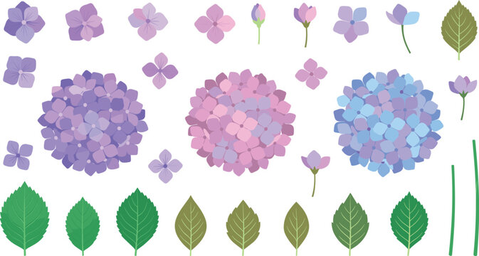 Elegant ortensia floral clip-art collection featuring colorful hydrangea macrophylla blossom heads and single leaf elements for wedding invitation design