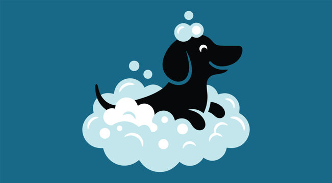 Black dachshund dog in soap bubbles on blueobile