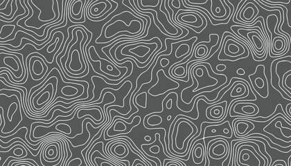 Topographic map lines, contour background. geographic grid map, Cartography Background. Modern design with White background with topographic wavy pattern design. © konok3001