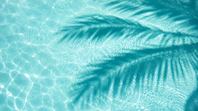 Clear turquoise water in a pool with sunlight reflecting and a shadow of palm leaves on the surface.
