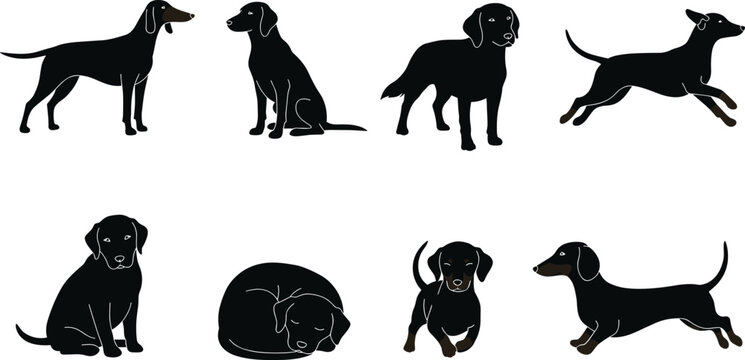 Collection of different dog silhouettes and poses, sitting, standing, running, sleeping, pet animals, domestic dogs, vector illustration