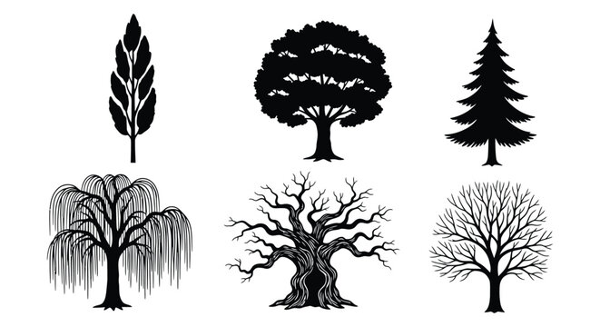 Tree And Leaf Silhouettes Black Vector Illustration On White Background