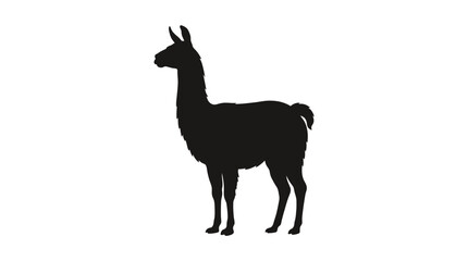 Black llama silhouette, animal icon, vector illustration, simple design © Mst