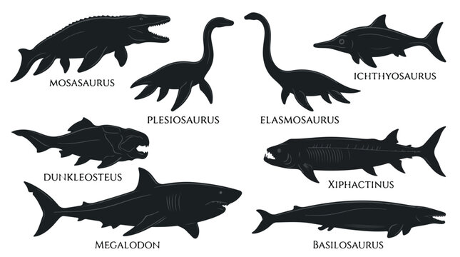 Collection of various prehistoric marine reptiles including mosasaurs plesiosaurs and ichthyosaurs in black silhouette