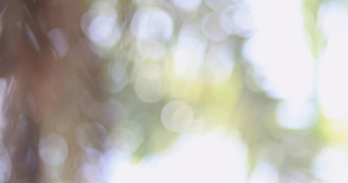 Abstract natural bokeh background with soft green defocused light. Ideal for copy space, presentations, video backgrounds, advertising, nature, and creative design projects