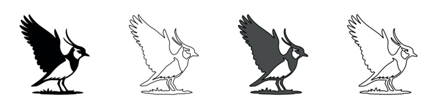 Stylized lapwing bird illustration in four distinct graphic styles for design
