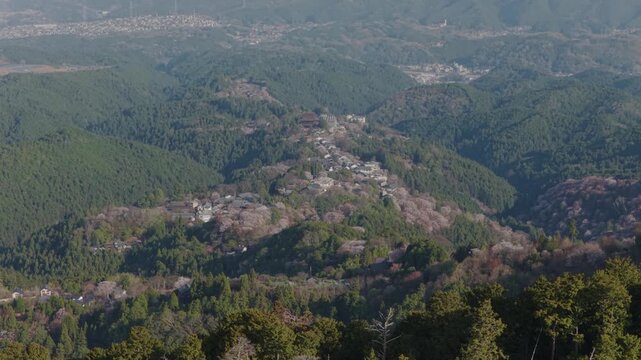 Aerial view of distant village surrounded by cherry trees in green mountains of Nara, Japan