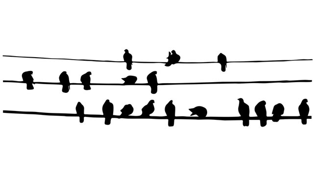 black silhouettes of birds sitting on wire