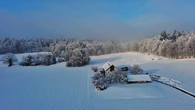 Serene Winter Wonderland: Aerial Drone View of Snow-Covered Houses and Forest