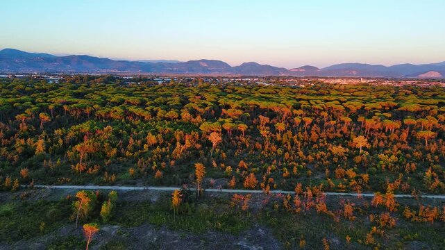 Drone Footage of Lush Forest and Mountains during Golden Hour Sunset