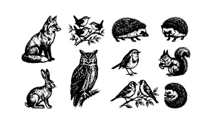 Vintage charcoal forest animals and birds brush stroke vector set fox owl hedgehog squirrel hare illustration © Md Monirul