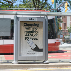 Obraz premium transit shelter advertising for Wealthsimple on Spadina Av, Toronto