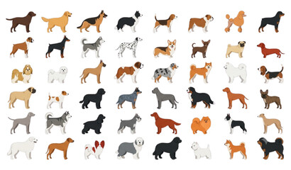 Obraz premium Collection of various dog breeds