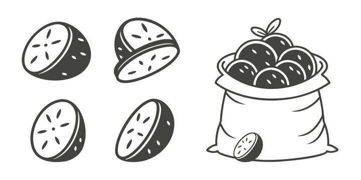 Hand drawn persimmons and sack illustration set with persimmon illustration botanical nutrition agriculture culinary ingredient isolated