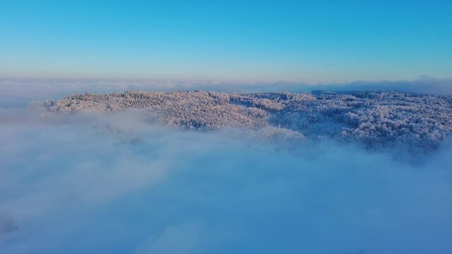 Serene Aerial Winter Landscape with Frosted Trees and Misty Valley