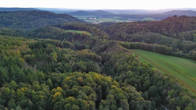 Aerial Drone Flight Over Lush Green Forest Valley and Rural Landscape