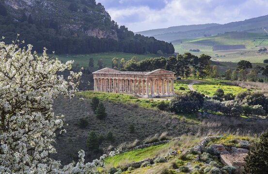 Spring landscape with the temple of Segesta, Calatafimi, Northwest, Sicily, Italy