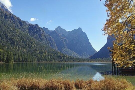 Quiet mountain lake against light, framed by golden leaves, distant peaks and forest are reflected in still water, Lake Toblach, Lake Dobbiaco, South Tyrol, Italy