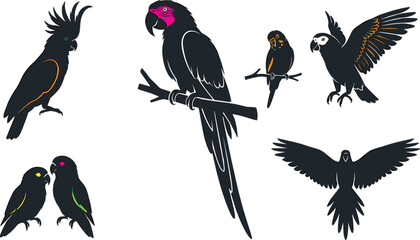 Black cockatoo and parrot collection featuring perched flying and lovebird exotic tropical bird vector illustration set © sumi