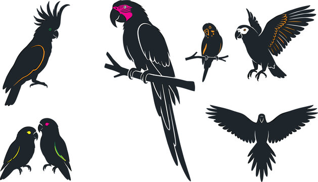 Black cockatoo and parrot collection featuring perched flying and lovebird exotic tropical bird vector illustration set