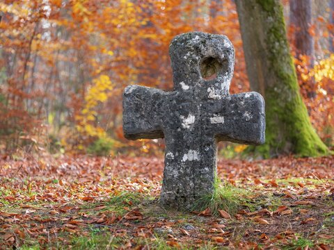 Medieval stone cross in the forest in autumn, atonement cross, murder cross, court cross, Spaal desert, Uhlst&auml;dt-Kirchhasel, Thuringia, Germany