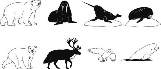 Arctic wildlife animals vector set with polar bear, walrus, narwhal, beluga whale, reindeer, and snowy owl illustration © ZAHID CREATIVE