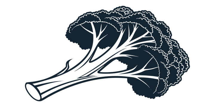Stylized artistic graphic illustration of a fresh head of broccoli vegetable with broccoli vegetable nutrition vegetarian illustration monochrome