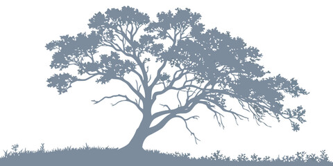 Fototapeta premium Grey silhouette of a large spreading tree on a grassy terrain with silhouette landscape outdoors illustration environment isolated background