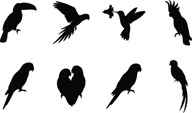 Tropical birds and exotic jungle parrots black silhouette vector illustration icon set