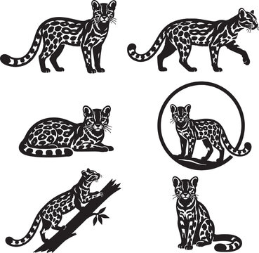Margay Silhouette Icon Set Collection Black Vector Symbols