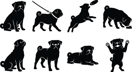 Black Silhouette Vector Bundle of Pugs in Playful and Relaxed Poses Including Sitting, Walking, Jumping, Sniffing, and Lying Down © Niheranjan