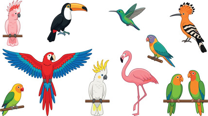 Colorful tropical birds cartoon character collection featuring parrot flamingo toucan macaw isolated on transparent background vector design © Honey Qween!
