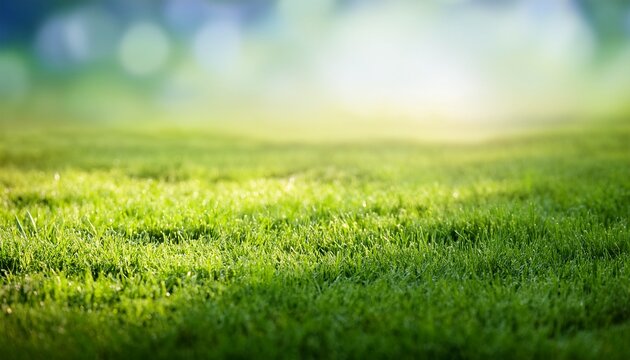Abstract Blur Green Grass In Springtime Compettition Season