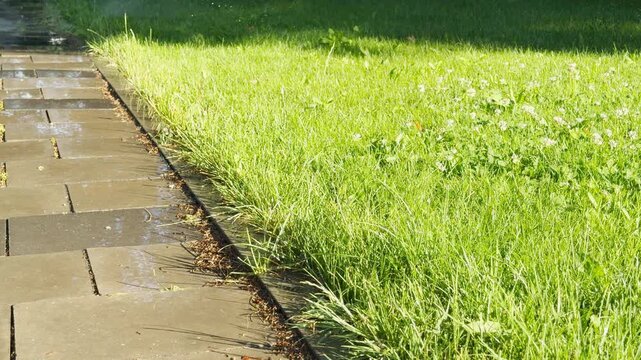 Wet pavement borders lush green grass in a sunny park in Simferopol, Crimea. This refreshing scene evokes feelings of peace, tranquility, and summer vitality.