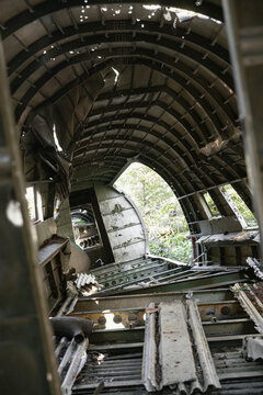 Bomber airplane wreck lying in a lush green mossy temperate forest