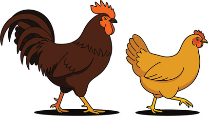 Farm poultry vector illustration featuring standing brown rooster and walking golden hen birds isolated on white background. © Dulal creation 