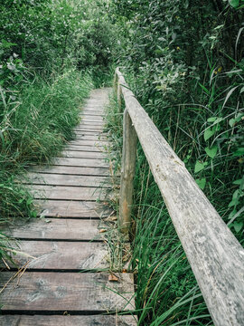 Steg im M&uuml;ritz Nationalpark