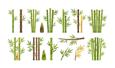 Naklejka premium Collection of Bamboo stalks and leaves illustration set.