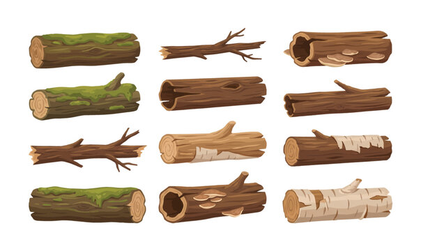 Collection of Assorted cut logs and branches.