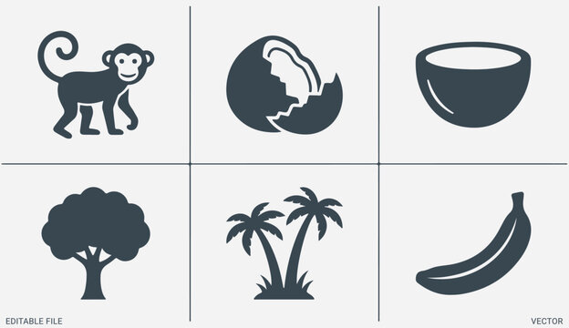 Monkey coconut vector silhouette palm tree banana tropical island animal monkey character jungle design element