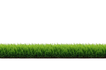 Fototapeta premium Green grass border separating ground and sky with clipping path on transparent checkerboard background