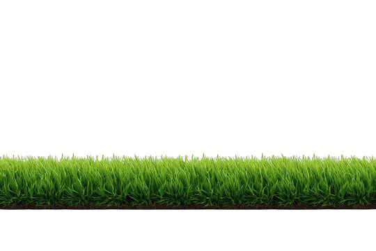 Green grass border separating ground and sky with clipping path on transparent checkerboard background