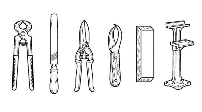 Set of Various Vintage Manual Hand Tools for Construction and Crafting.