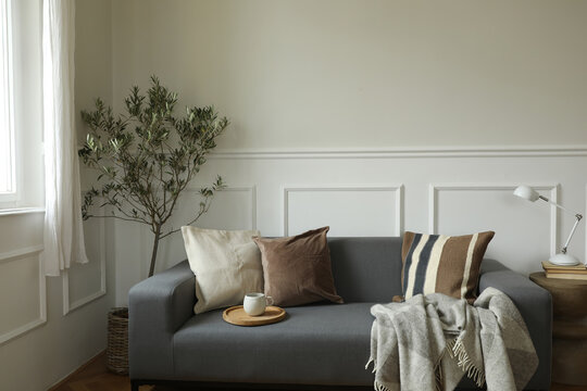 Elegant Modern Living Room Interior with Gray Sofa, Decorative Cushions, Soft Throw Blanket, Coffee Cup and Indoor Olive Tree. Minimal Scandinavian Home Decor with Natural Light, Copy Space