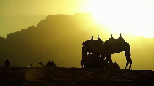 Majestic Horse Silhouette in a Golden Sunset Meadow with Open Field Dramatic Sky and Peaceful Natural Landscape Illustration