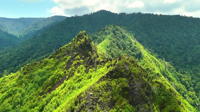 Appalachian mountains in North Carolina with fresh green forest trees in summertime season. Beauty of USA nature.