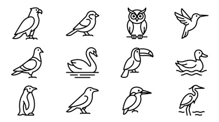 Fototapeta premium Collection of Bird Icons: Eagle, Owl, Hummingbird, Swan, Toucan, Penguin, Pigeon, Duck, Heron