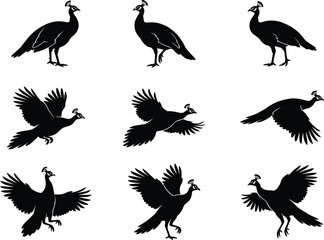 Elegant peafowl silhouettes in dynamic flight, graceful landing, and upright standing poses, showcasing exotic bird motion, crest details, and black‑and‑white wildlife illustration art © Fatema